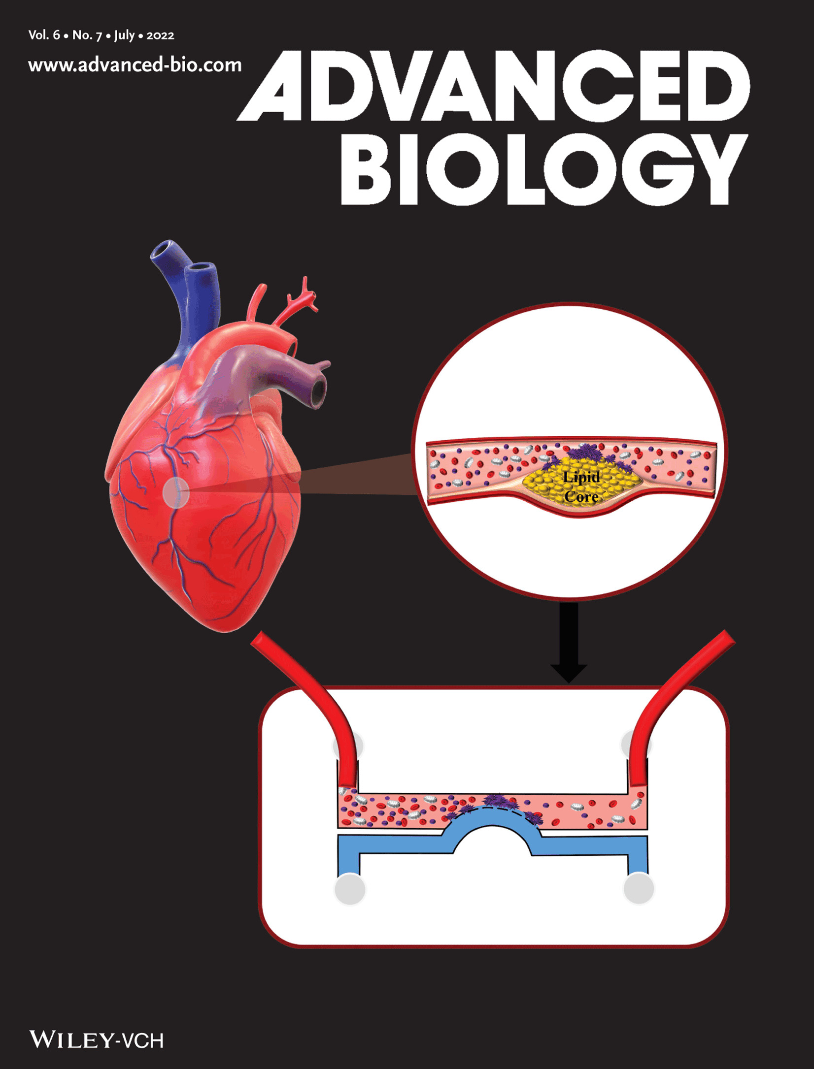 高等生物学