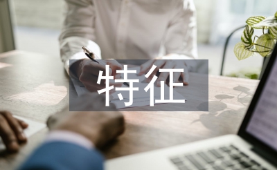 海绵都会的特点
