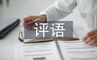年度查核考语