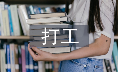 打工社会理论总结