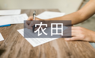 高规范农田扶植案例