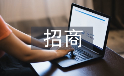 建材市场招商使命总结