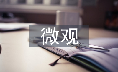微观和微观的辨别