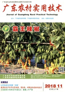 广东乡村适用手艺杂志