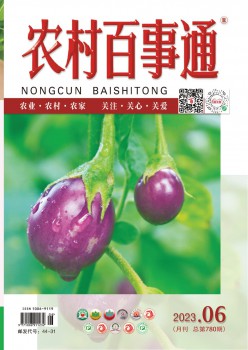 村落百事通杂志